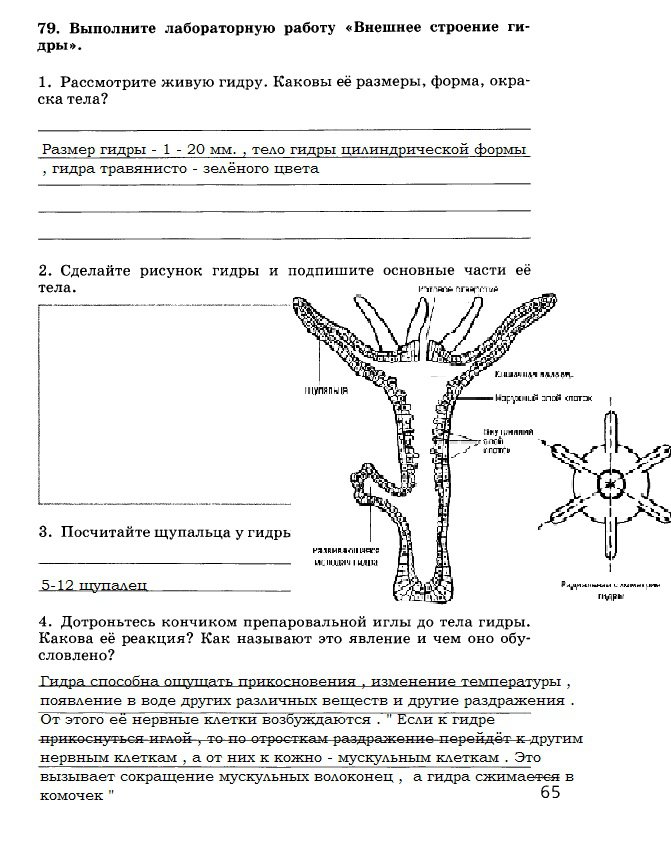 Кракен торговая kr2web in