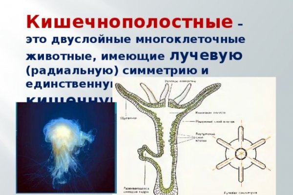 Кракен магазин оренбург